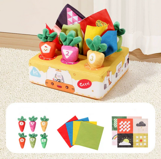 Sensory Pull Along Box