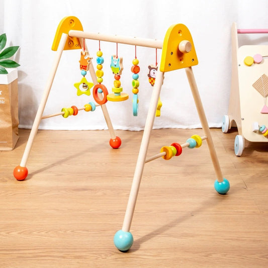 Baby Activity Gym