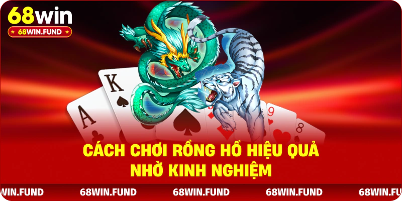 Cách chơi Rồng Hổ hiệu quả nhờ kinh nghiệm